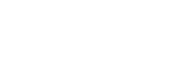 VI_logohorizontal_v2_br